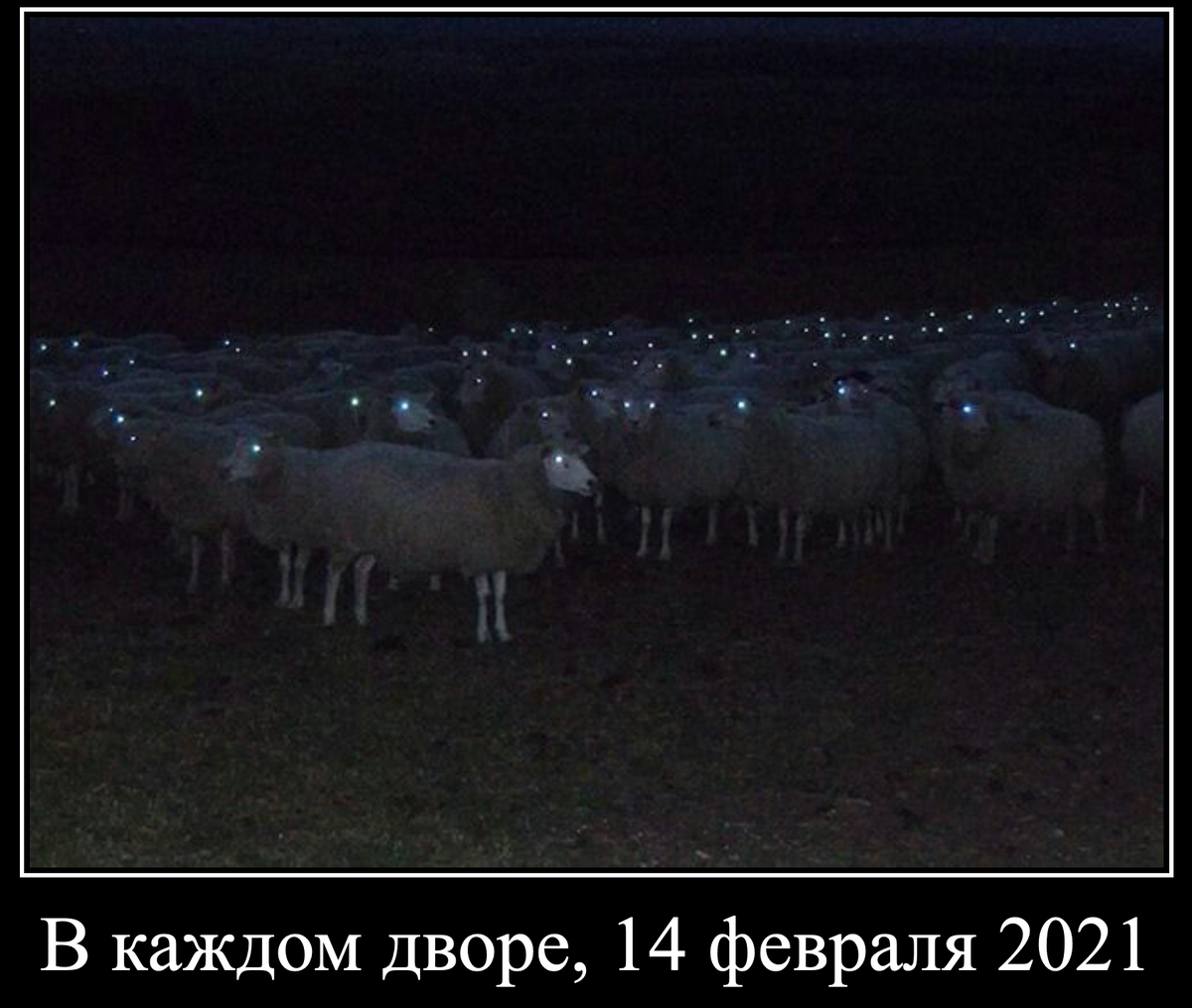 УЛИЦА НАВАЛЬНОГО