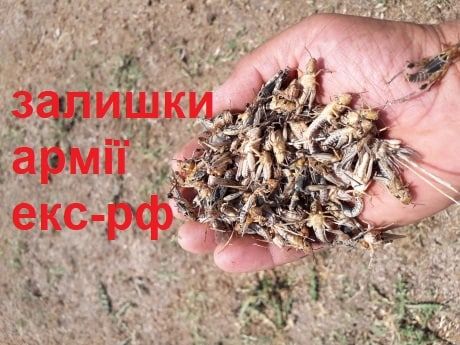 КАПИТУЛЯЦИЯ ОТМЕНЯЕТСЯ